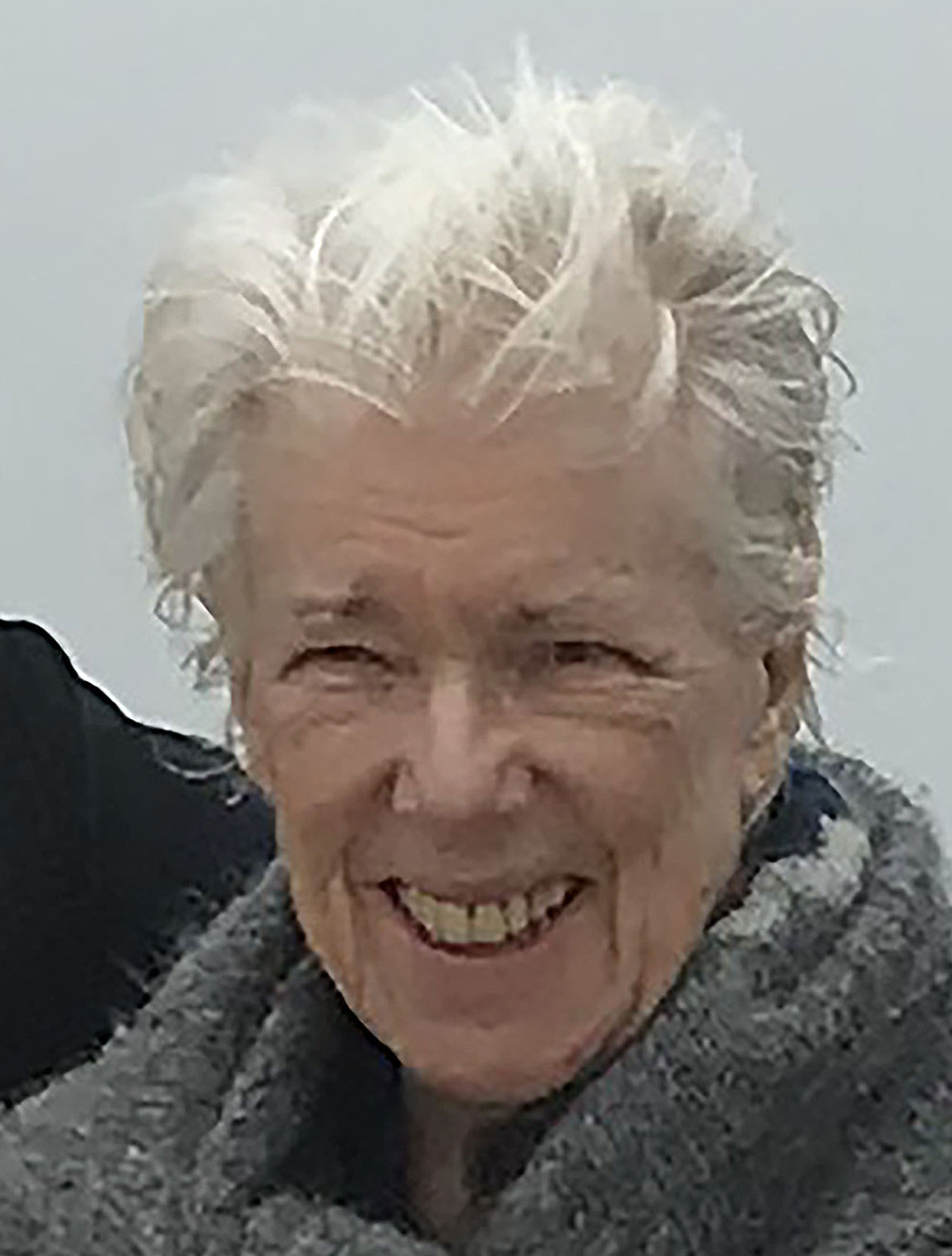 Ann Hiden